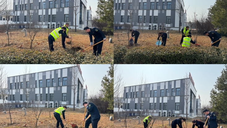 播撒绿色种子 赋能美好出行——京雄分公司高碑店东收费站开展植树节活动