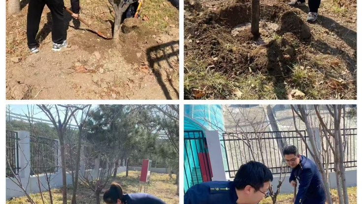 京雄分公司雄安北收费站：开展植树节活动