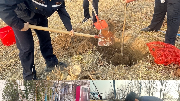 植此青绿  不负春光   泗庄收费站组织开展植树节活动